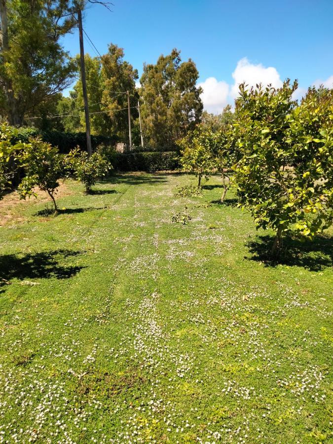 Villa Agriturismo I Doni Del Mandorlo Alghero Exterior foto